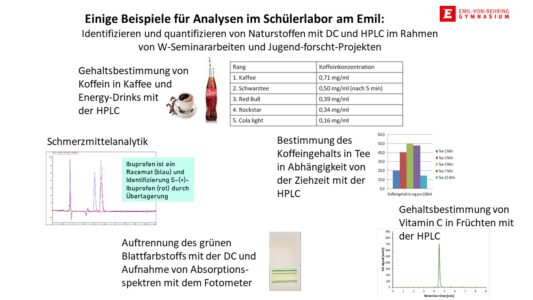 Beschreibung der analytischen Arbeiten